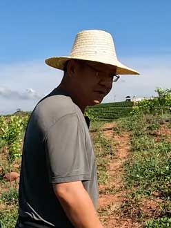 农业人叶涛，50多岁通讯人跨界搞农业，他要用1000万打造一个梦。