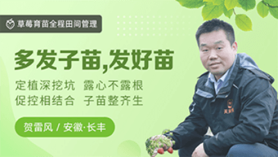 多发子苗，发好苗